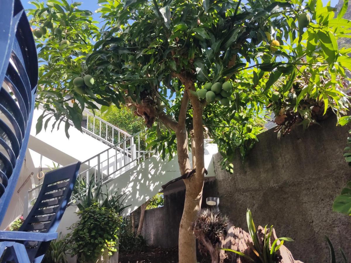 Casa Da Avo Rosa Apartment เซาวิเซนเจ ภายนอก รูปภาพ