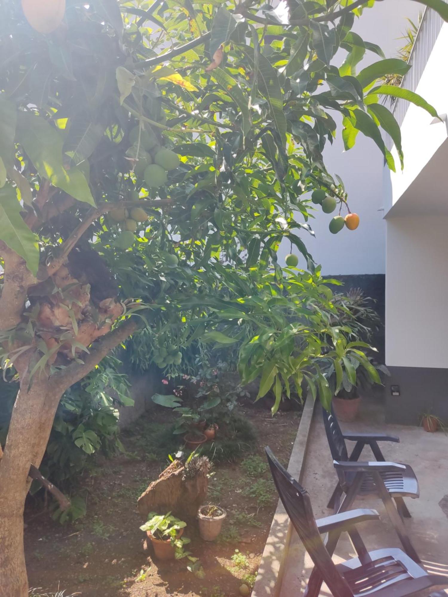 Casa Da Avo Rosa Apartment เซาวิเซนเจ ภายนอก รูปภาพ